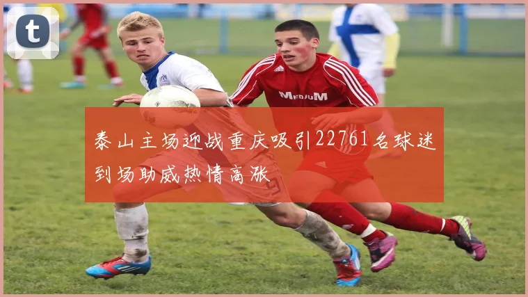 泰山主场迎战重庆吸引22761名球迷到场助威热情高涨